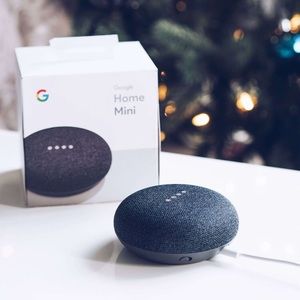 Google Home Mini NWT